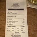 행복지대 | 2025 여름휴가 ② 프랑크푸르트 Flemings 호텔, 슈니첼 맛집 추천, 프랑크푸르트 우범지대 산책후기...🤦