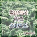 농업회사법인 바른팜 주식회사 광주지점 | 일상에서 볼 수 있는 " 도심형 스마트팜 "