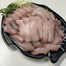청양수산 :: 노량진 수산시장 회 포장 맛집, 제철 방어회 솔직 후기