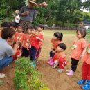 밝음어린이집 이미지