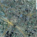 진성투토펠리체 이미지