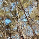 의림지-02 이미지