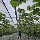 인영농장 이미지