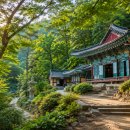태평사 — 고요함이 선물처럼 찾아오는 자연 속 힐링 사찰