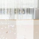 페브러리래빗 이미지