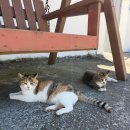 호두마을회관 이미지