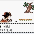 금빛체육관