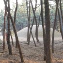 대왕릉민박 Daum카페
