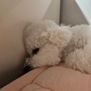 주경숙 | [루카 15,31] 얘야, 너는 늘 나와 함께 있고 내 것이 다 네 것이다