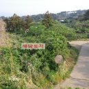 매직무인텔 이미지