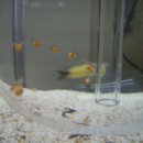 만돌이PC 이미지