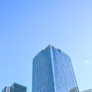 스카이아트디자인 | 도쿄 시부야스카이 전망대 예약 위치 가는 법 관람 후기
