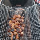 오촌농장 이미지