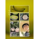 팜앤스토리