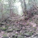 서홍동-9 이미지