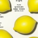 제3회 레몬 뮤직 페스티벌 in 달서 이미지