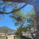 맑은물 | 충북 단양 사인암 산책 후기, 물 맑은 계곡과 청련암까지 다녀온 하루