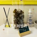 에스떼 벨라(Esthe Bella) | 창원 저자극 윤곽관리, 에스떼벨라