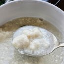 망원동 맛있는 비건식당 <풀 발효부엌> 2번 방문 후기