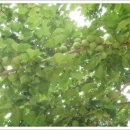 포두면사무소 이미지