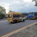 바네스(VANESSE) 이미지