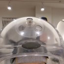 화이트미용실 | 송파역미용실 니우니우헤어 화이트점 플로디아클리닉 후기