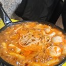 노리터즉석떡볶이 | <26년 2분기 일상> 임신중기 황금기 일상, 열심히 여행다닌 봄여름
