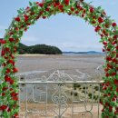 오션이니스프리 이미지