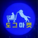 도그마캣제주모슬포점 | 제주 쇼핑 서귀포 무인펫샵 도그마캣