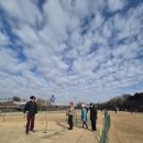 파크골프 입문 이미지