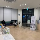 다정한동물메디컬센터 네이버블로그
