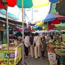 반야월종합시장 티스토리