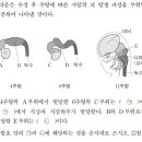 2016 생물A 6번 (기입형) - [발생,신경] 사람의 뇌 발생 이미지