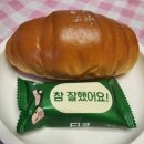 티코커피숍 | 🍯 단짠의 미학 요즘 우리가 단짠에 열광하는 이유 (+ 말차티코소금빵 후기)