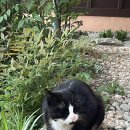 참좋은궁 이미지