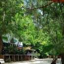 여주-0205 이미지