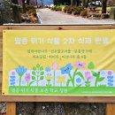 나무와중학교 이미지