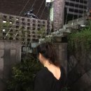 파티드뷔시 - 해운대구 재송동 | 파티드뷔시