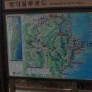 블루로드 이미지