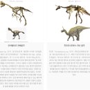 안면도쥬라기박물관 이미지