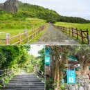 성산읍 태성주택 앞 | 가을 제주 여행 추천 제주도 2박3일 코스 꼭 가봐야할곳