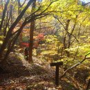 (취소)10/28(토) 소똥령 가을 숲길과 화진포 바다 이미지
