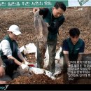 약토