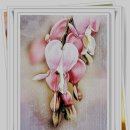 사진촬영강좌 이미지