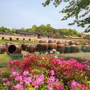 자연로하스 이미지