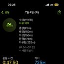 수영수선