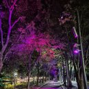 강남동주민센터 | 2025춘천술페스타_9월 주간일기2