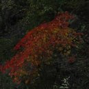 마곡사1 이미지