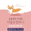 더블유동물병원 이미지