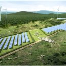 성공 태양광발전소 이미지